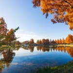 埼玉県郊外の公園